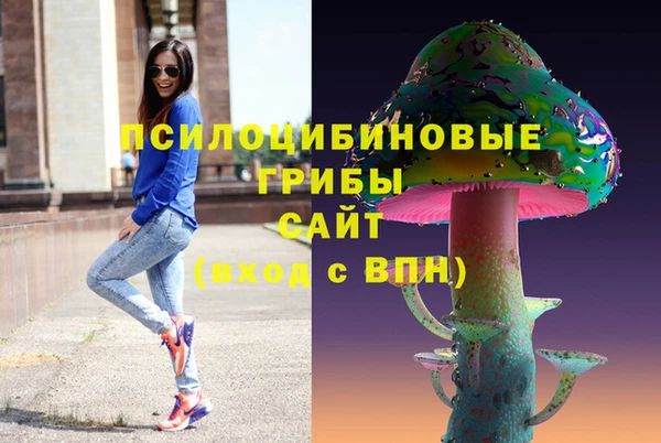 дмт Алзамай
