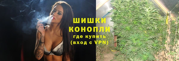 ГАЛЛЮЦИНОГЕННЫЕ ГРИБЫ Алексин