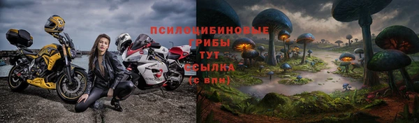 ГАЛЛЮЦИНОГЕННЫЕ ГРИБЫ Алексин